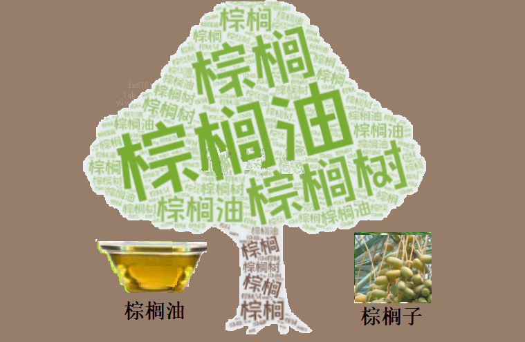 棕榈油“高开低走”背后：出口数据“暴雷”，交易员紧急调整仓位(图1)